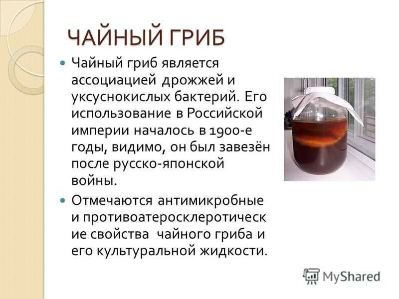 Холодный чай: рецепты приготовления напитков