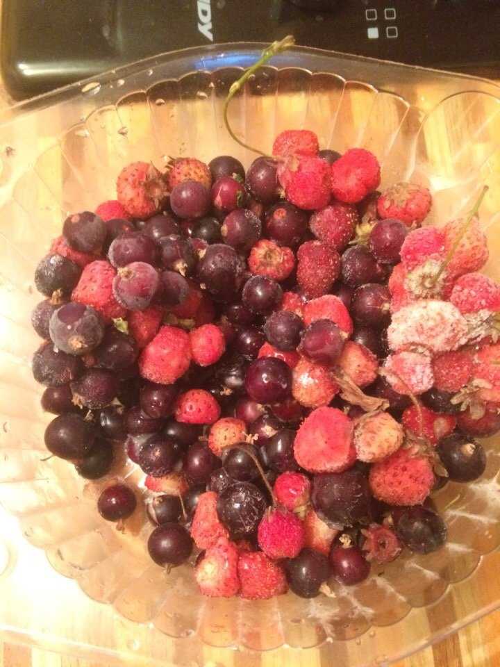 Компоты из ягод. как варить компот из замороженных ягод, рецепты