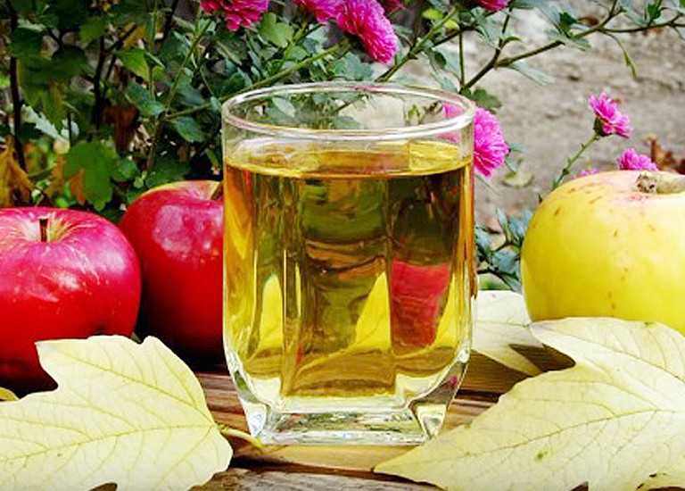 Как приготовить яблочное вино с дрожжами