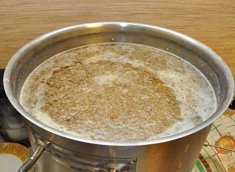 Рецепты и правила изготовления самогона из пророщенной пшеницы
