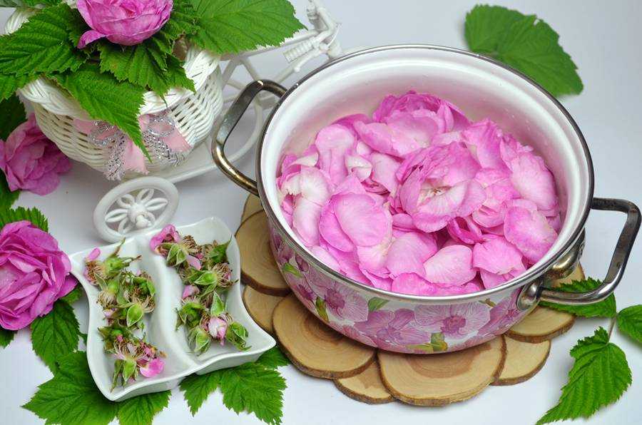 Как приготовить чай из лепестков роз: поиск по ингредиентам, советы, отзывы, пошаговые фото, подсчет калорий, изменение порций, похожие рецепты