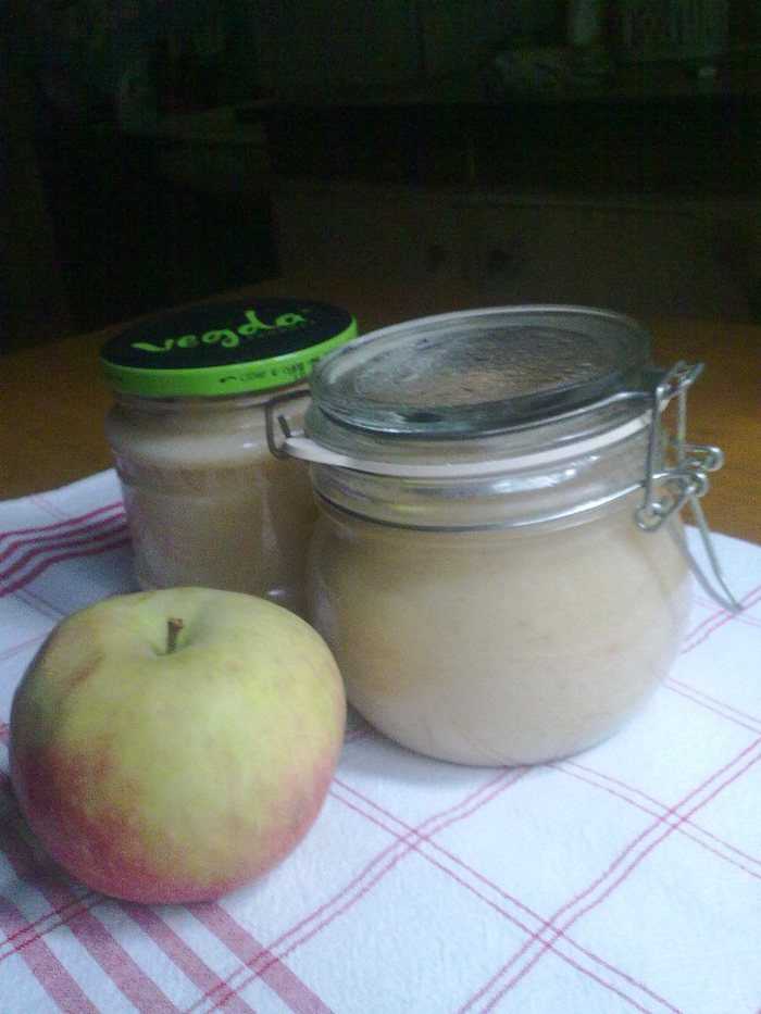 Яблочное пюре "неженка" со сгущенкой на зиму - 6 рецептов в домашних условиях