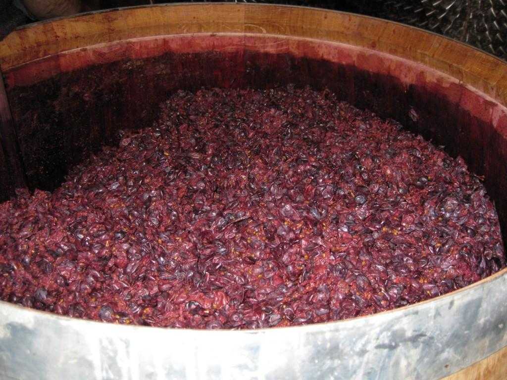 Второе вино из жмыха винограда: простой рецепт приготовления