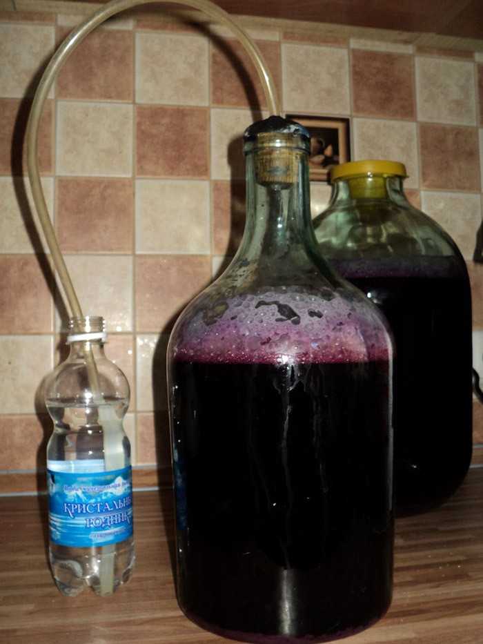 Вино из винограда: пошаговый рецепт приготовления домашнего вина