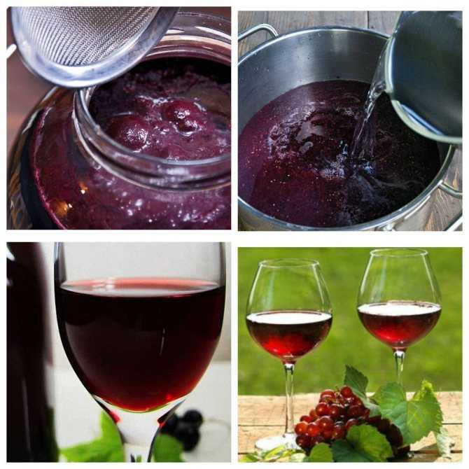 Рецепт приготовления вина из чернослива в домашних условиях