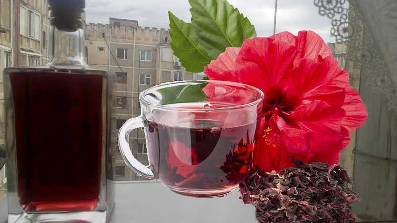 Как очистить самогон (брагу) чаем каркаде в домашних условиях от запаха и сивушных масел