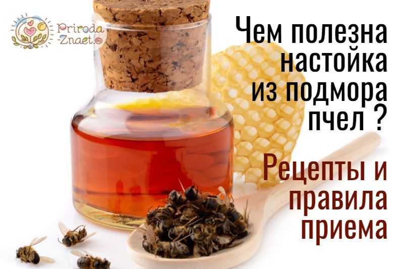Пчелиный подмор: настойка на спирту применение, от чего помогает и что лечит?
