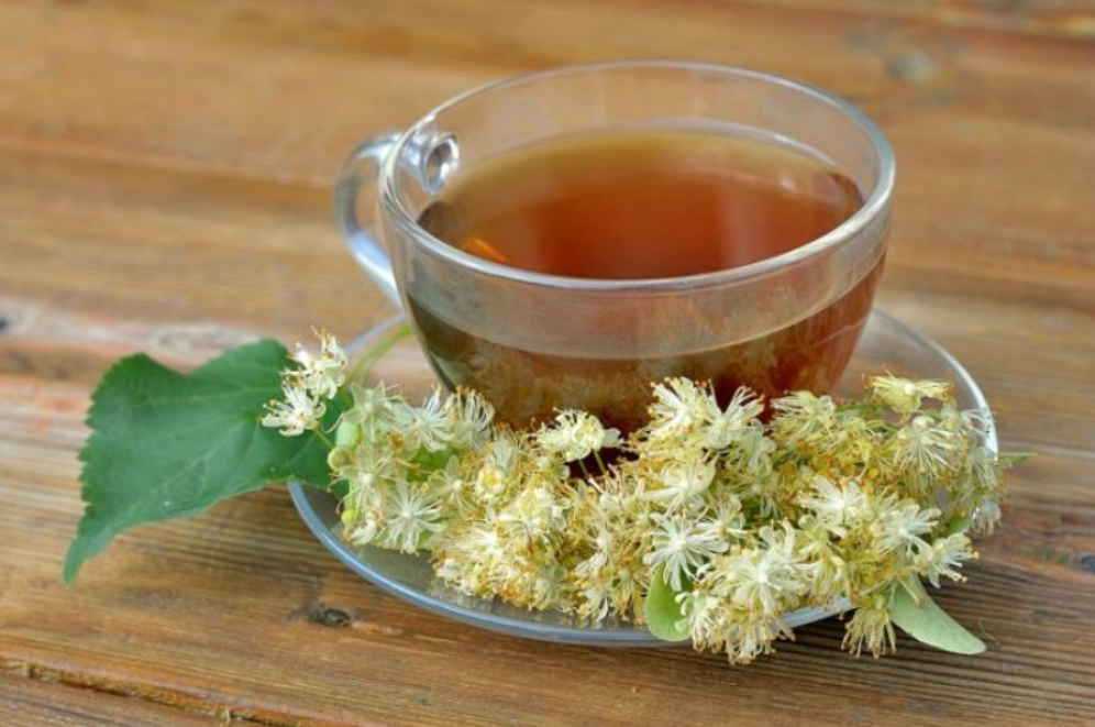 Польза и вред чая из крапивы для организма человека