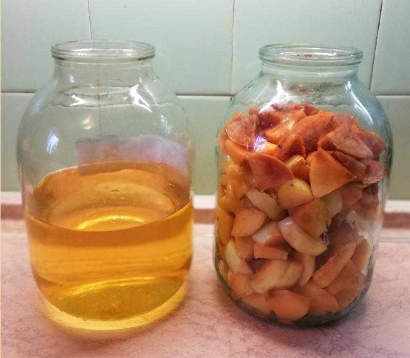 Рецепт наливки и настойки на яблоках в домашних условиях