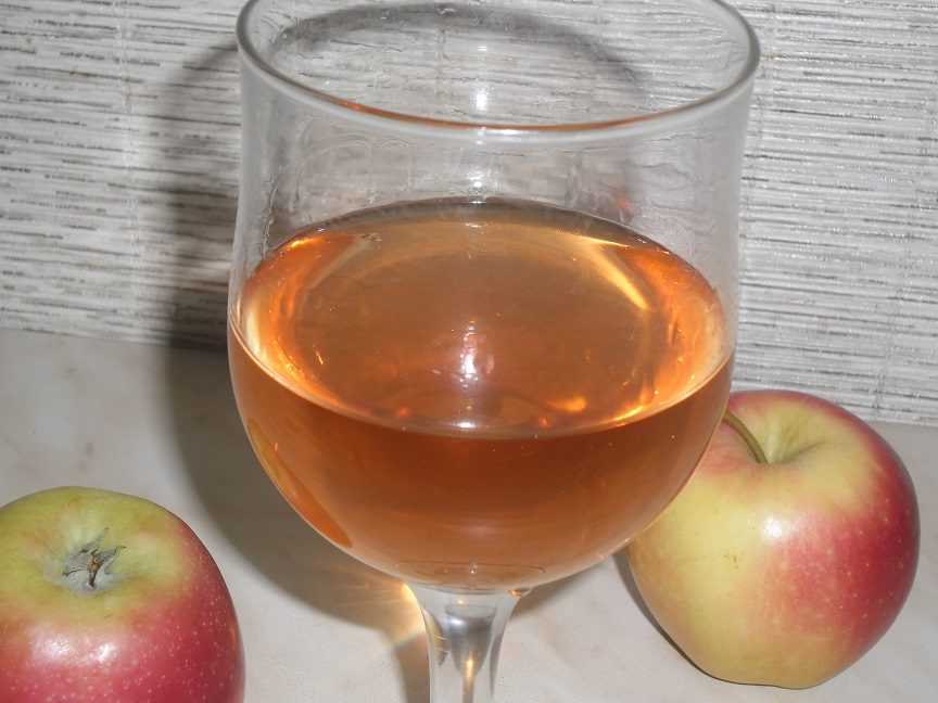 Домашнее яблочное вино из яблок рецепт с фото - 1000.menu