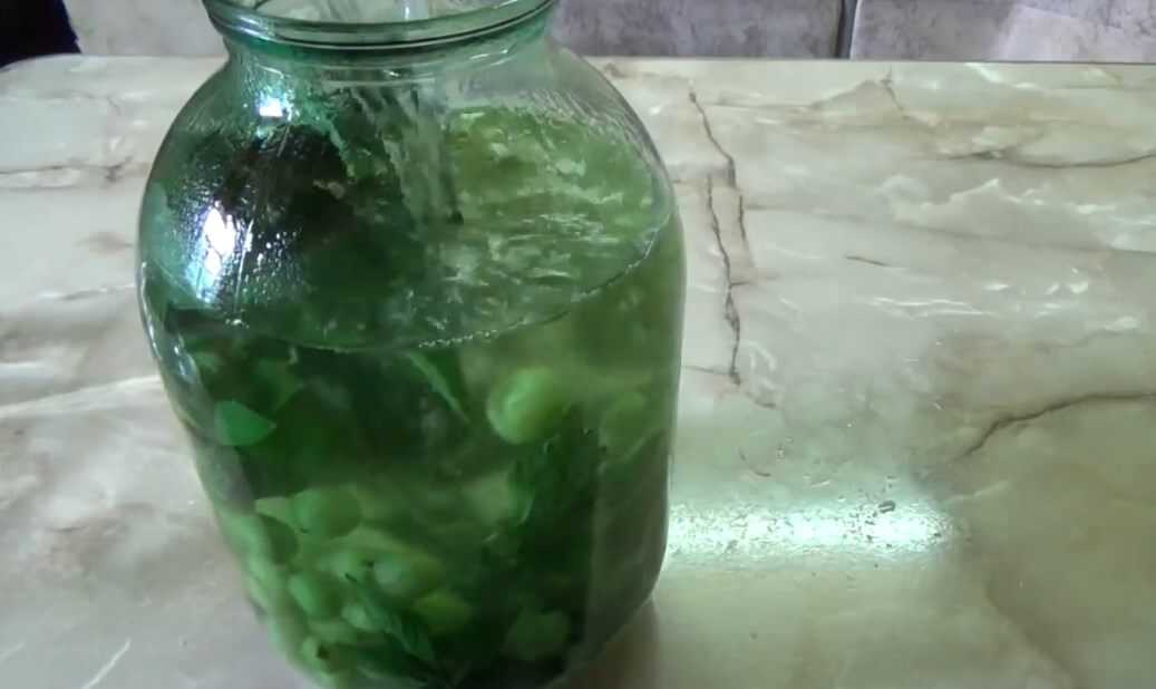 Компот «мохито» из крыжовника на зиму - вкусный и освежающий напиток, заготовленный впрок
