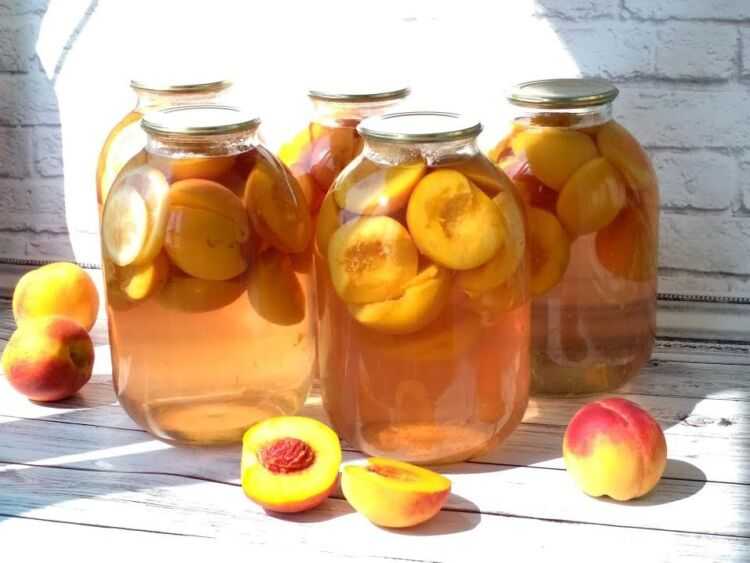 Компот из абрикосов и персиков на зиму: рецепт в домашних условиях
