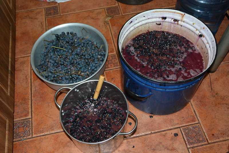 Способы приготовления домашнего вина из ирги