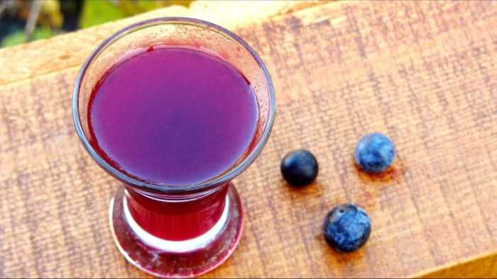 Особенности приготовления сусла для вина из черники. простые рецепты традиционных вин из черники для домашнего виноделия