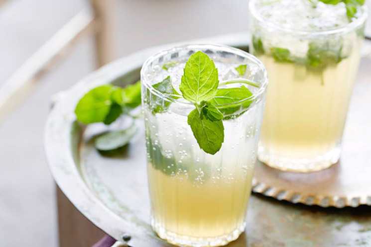 Рецепты лимонад с мятой