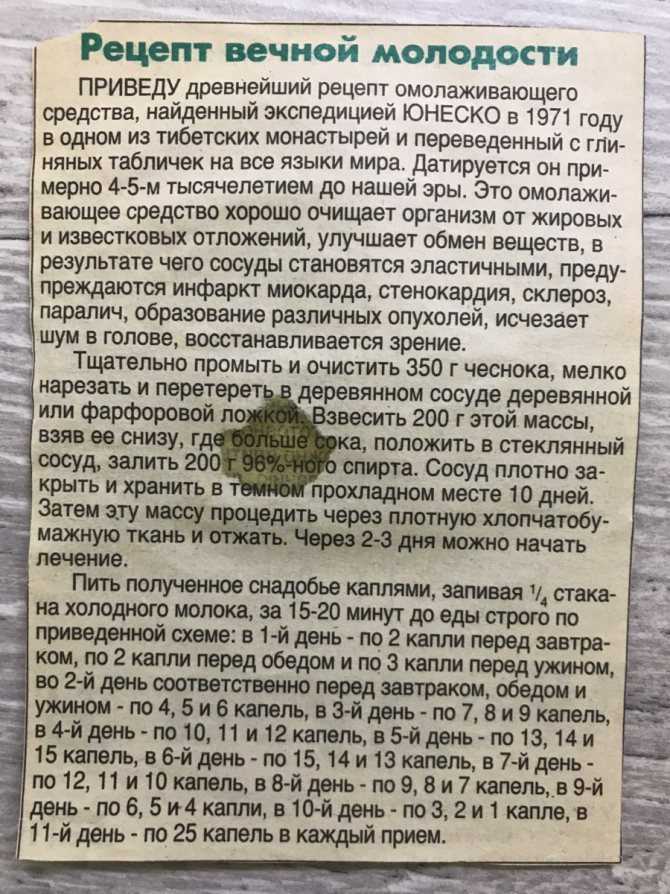 Настойка чеснока на водке рецепт с фото пошагово - 1000.menu