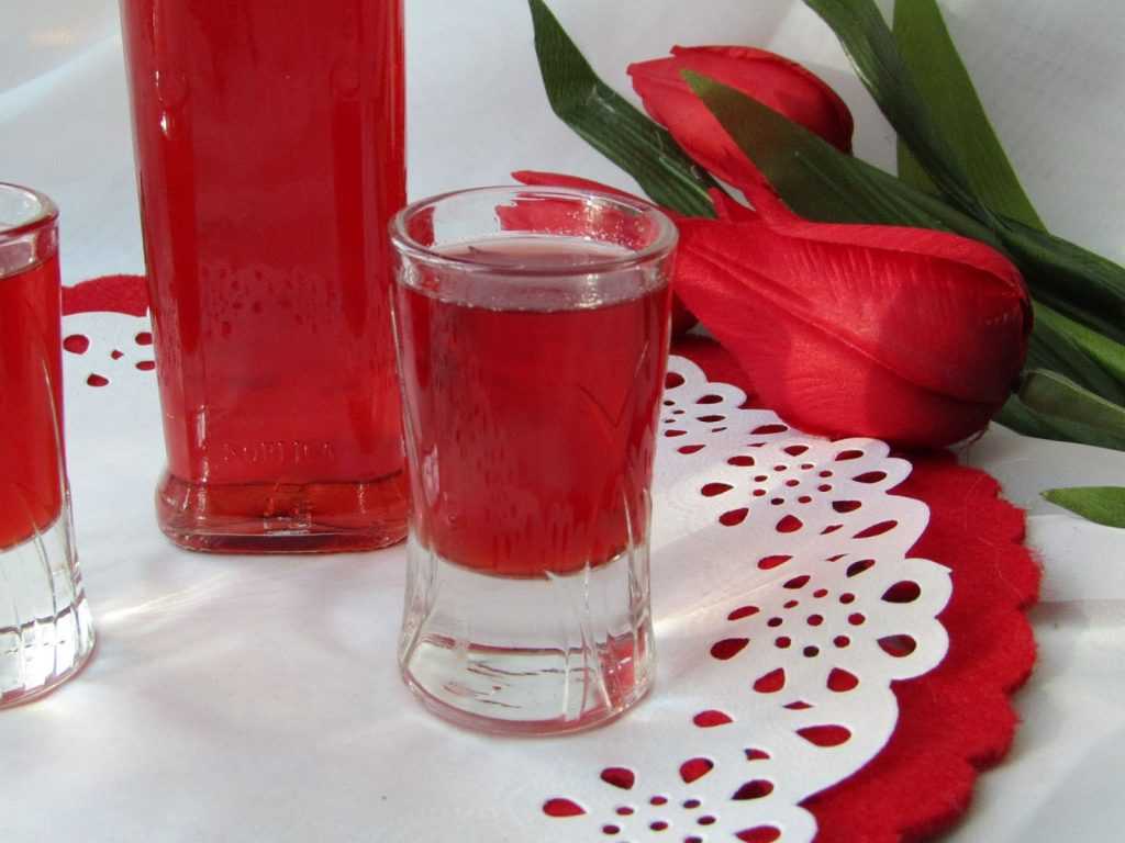 Настойка на клюкве с водкой и спиртом в домашних условиях: пошаговые рецепты