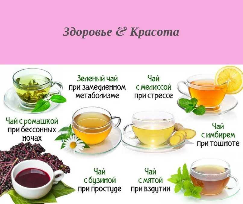 Чай с шалфеем: польза и вред, как сушить и заваривать, народные рецепты