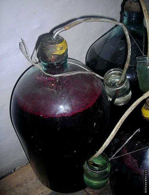 Простой рецепт вина из винограда изабелла в домашних условиях