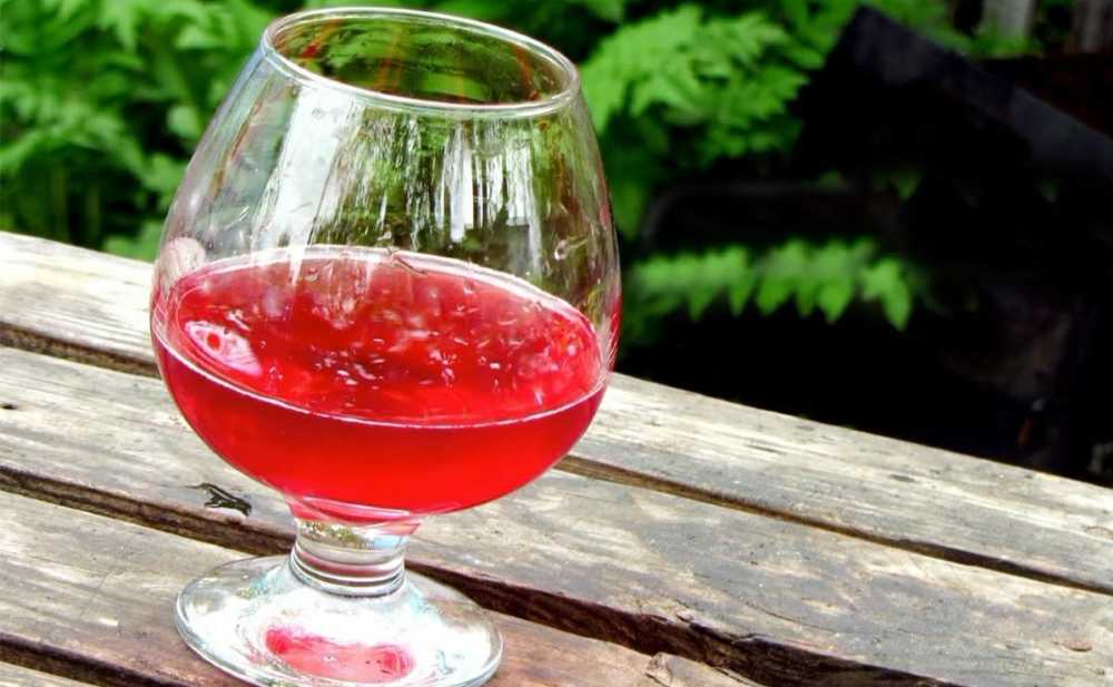 Настойка из клюквы на водке – рецепт, клюквенное вино