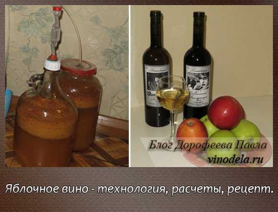 Вино из яблочного жмыха после соковыжималки - простые пошаговые рецепты для приготовления в домашних условиях