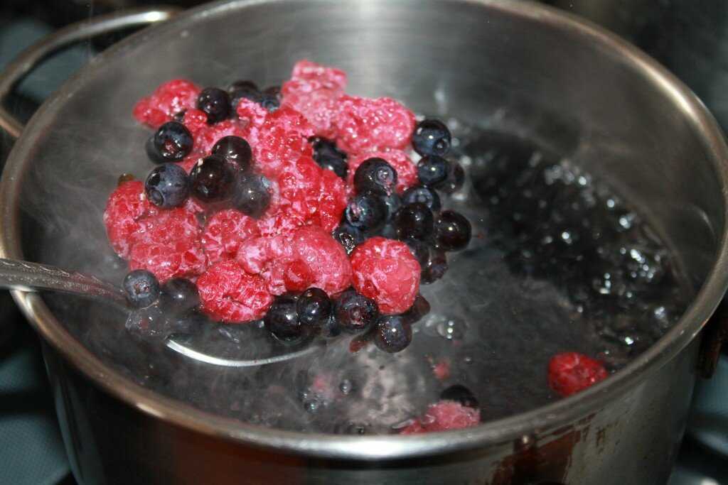 Как сделать фруктовый лед в домашних условиях: вкусная подборка рецептов :: syl.ru