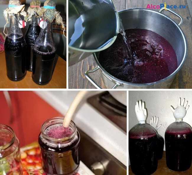Вино из концентрированного виноградного сока - простые пошаговые рецепты для приготовления в домашних условиях