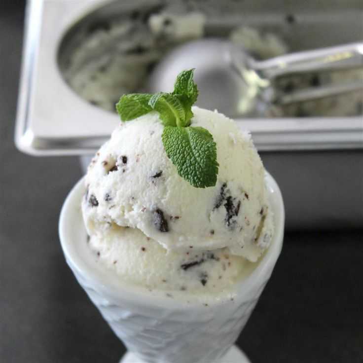Мятный коктейль с мороженым. лучшие рецепты домашнего мороженого и десертов
