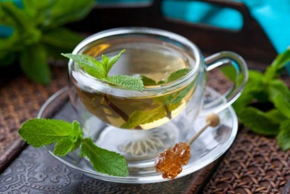 Как заварить чай с мятой: 5 лучших рецептов | megapoisk.com