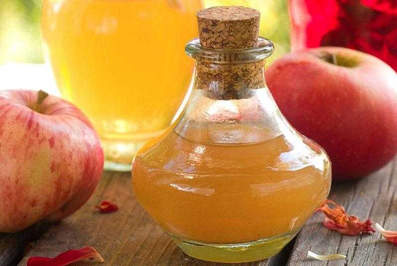 Как приготовить настойку на яблоках в домашних условиях