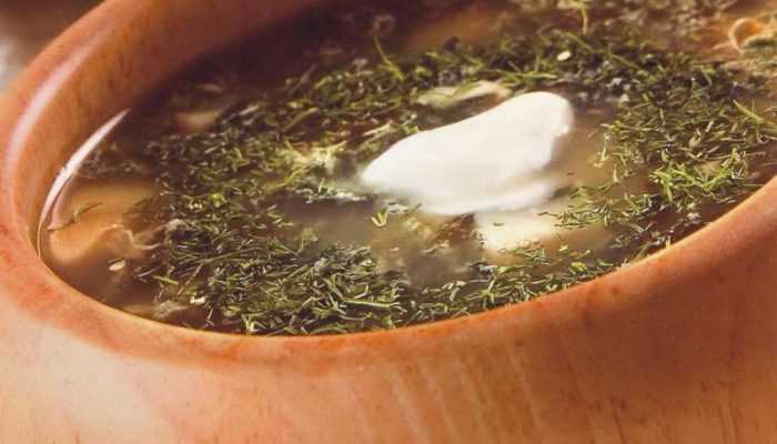 Щи из крапивы – лучший пошаговый рецепт приготовления