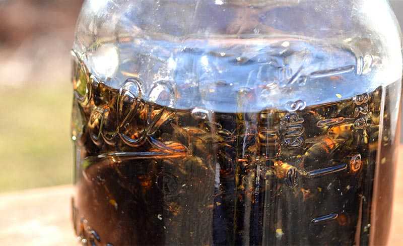 Подмор пчелиный: настойка на спирту, на водке, применение в лечебных целях
