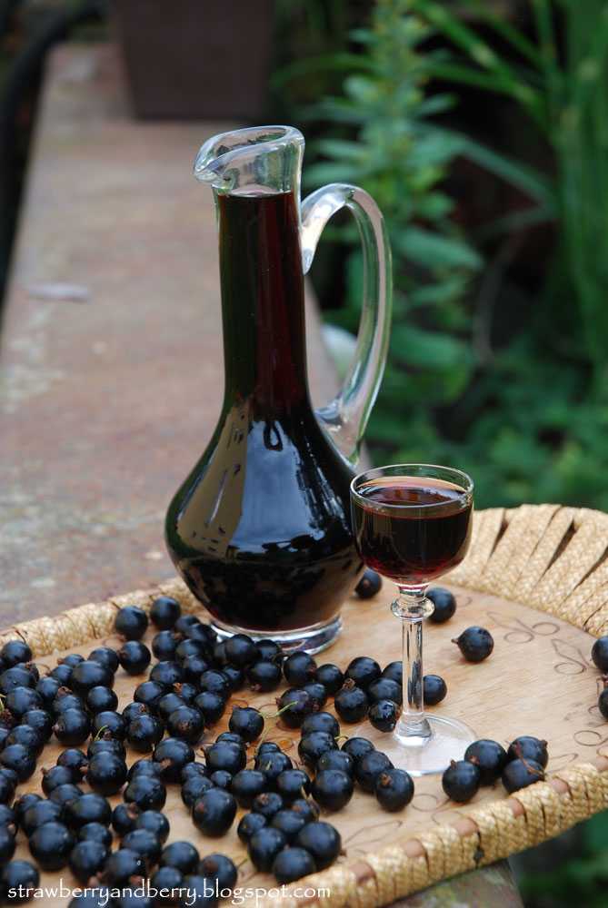 Вино из черники в домашних условиях: рецепт с закваской