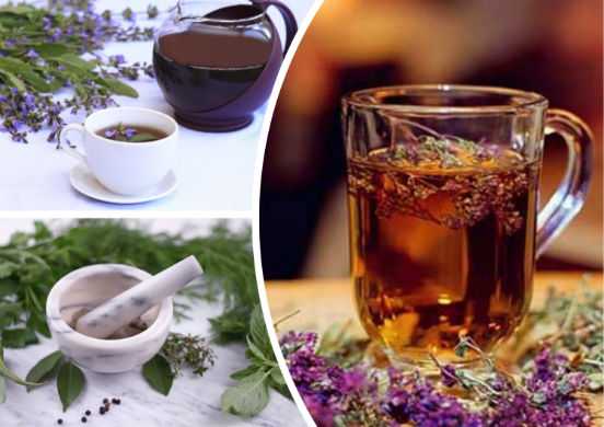 Готовим чай с шалфеем: 7 рецептов для разных случаев