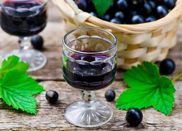 Вино из смородины: популярные рецепты с фото