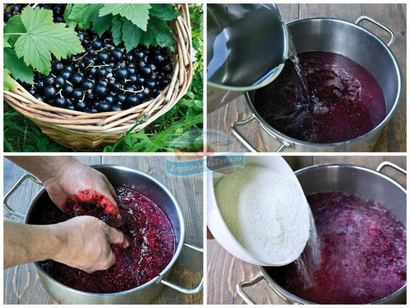 Вино из красной смородины — простые рецепты в домашних условиях