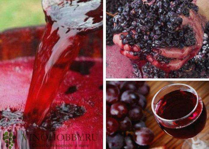 Рецепты настоек из винограда на водке, спирте и самогоне