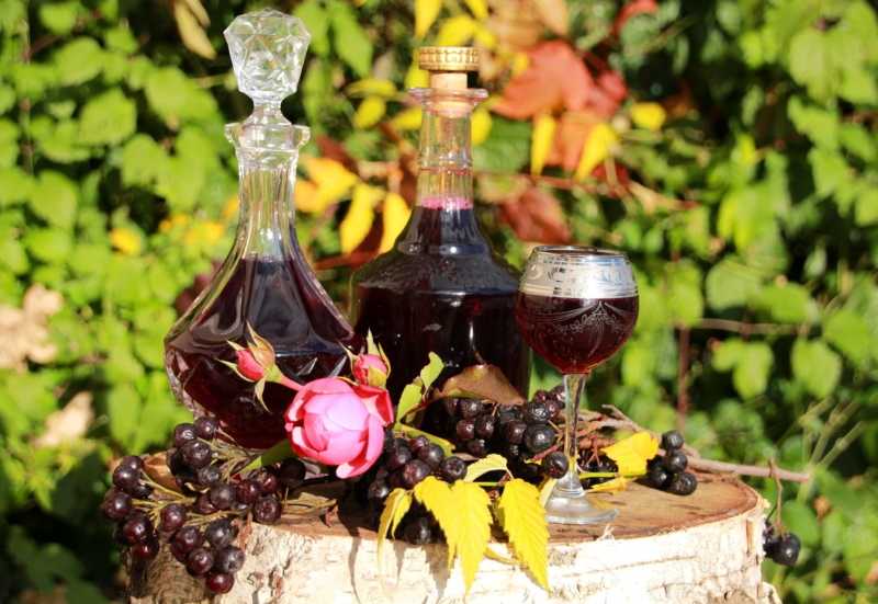 Как сделать вино из черноплодной рябины в домашних условиях