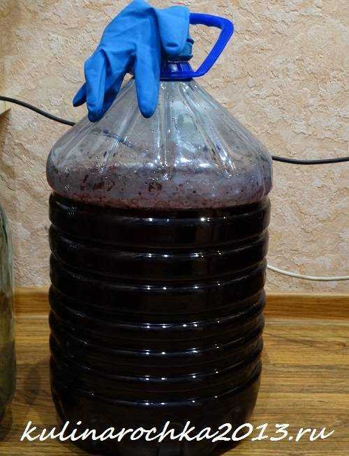 Домашнее вино из винограда изабелла простой рецепт как сделать в домашних условиях