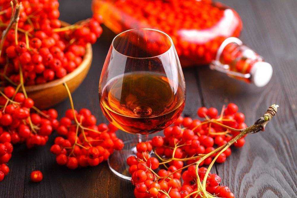 Вино из рябины красной в домашних условиях - пошаговый рецепт
