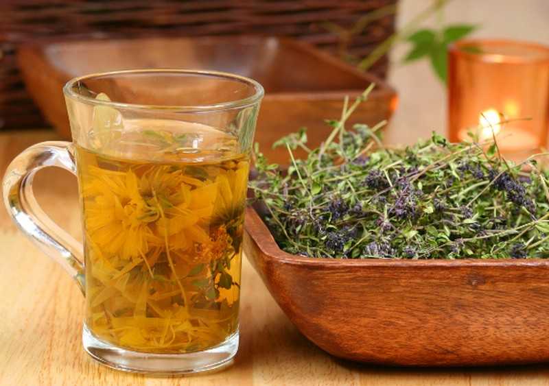 Земляничный чай: рецепты со сливками из листьев и ягод