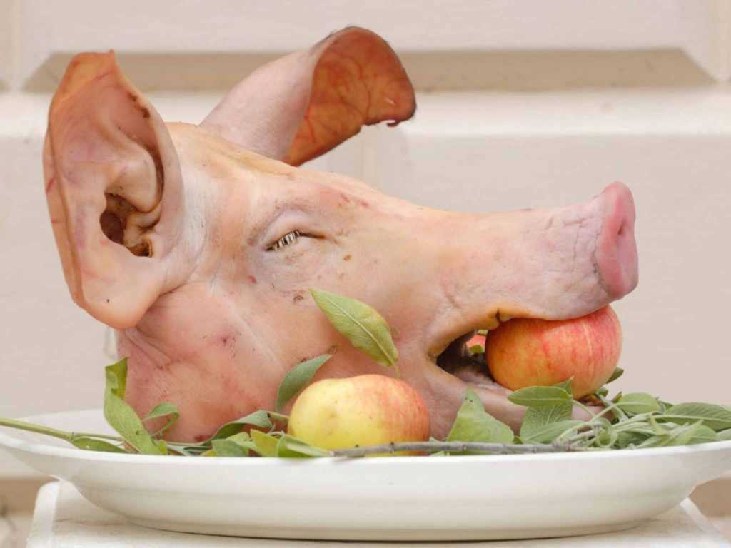 Как приготовить мясо прессованное свиных голов. как приготовить прессованное мясо из свиной головы. из свиной головы