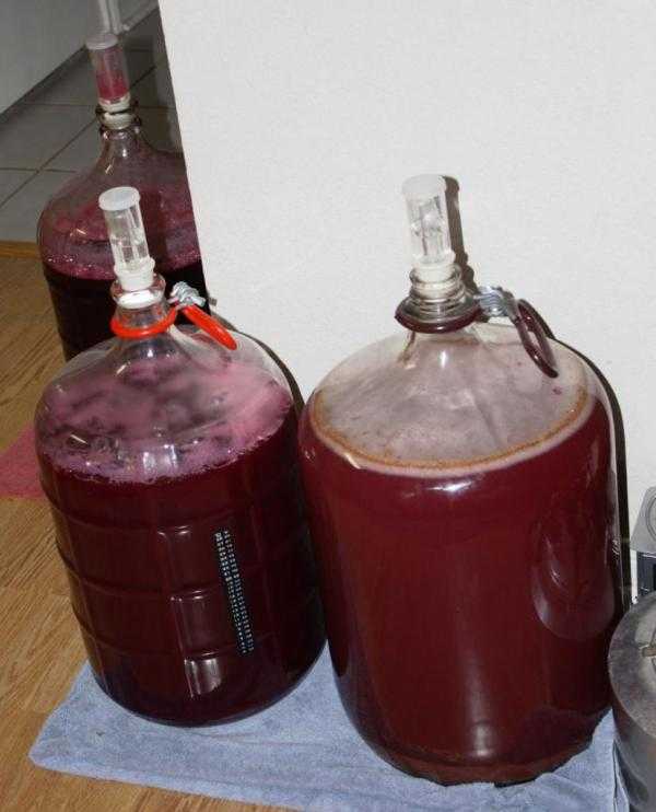 Домашнее вино из винограда изабелла: белое, розовое и красное – лучшие 3 рецепта