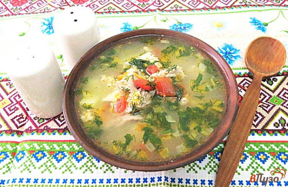 Пошаговый рецепт классического супа харчо из свинины с рисом