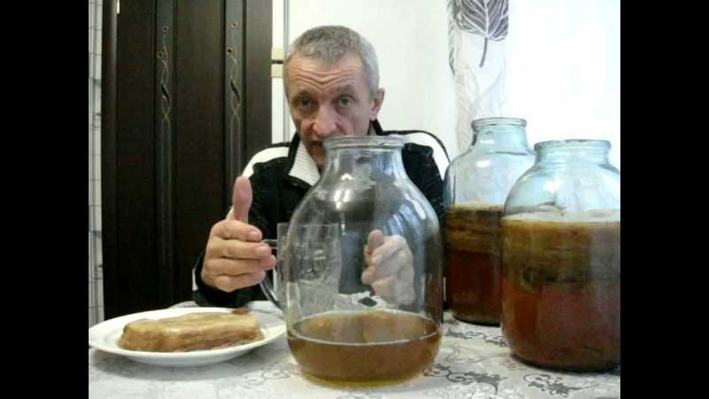 Как сделать чайный гриб в домашних условиях с нуля: рецепт с фото и видео
как сделать чайный гриб в домашних условиях с нуля: рецепт с фото и видео