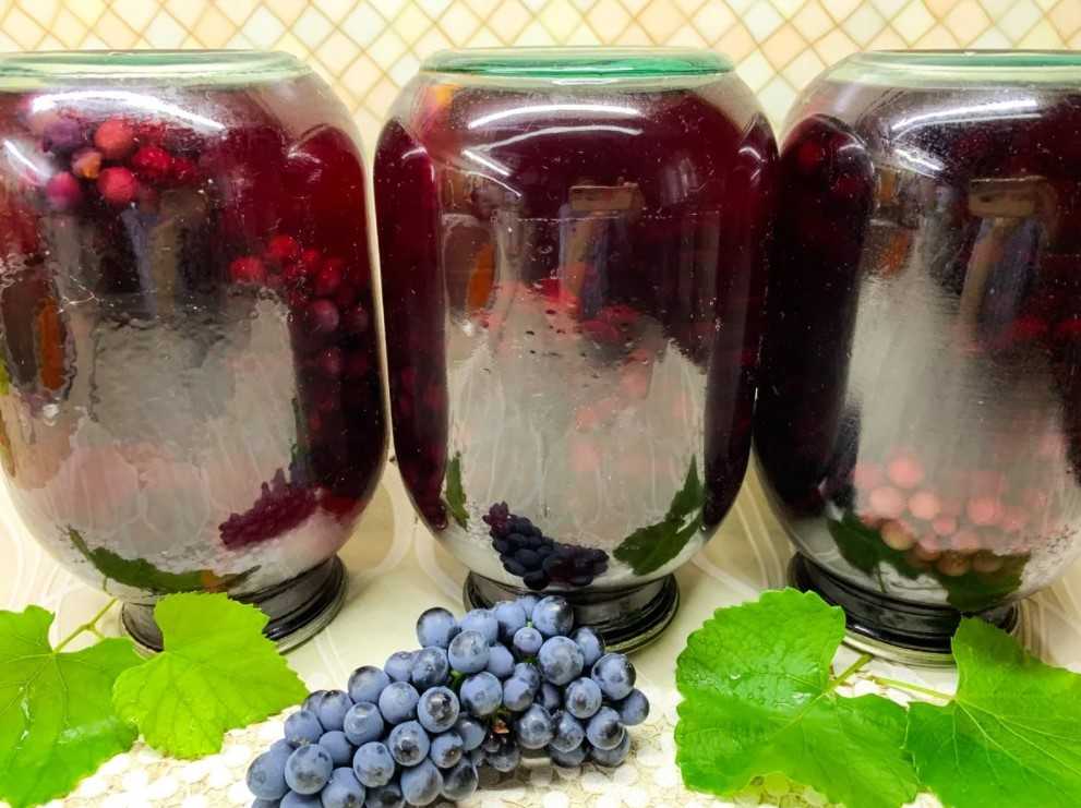 Компот из винограда на зиму: лучшие рецепты приготовления