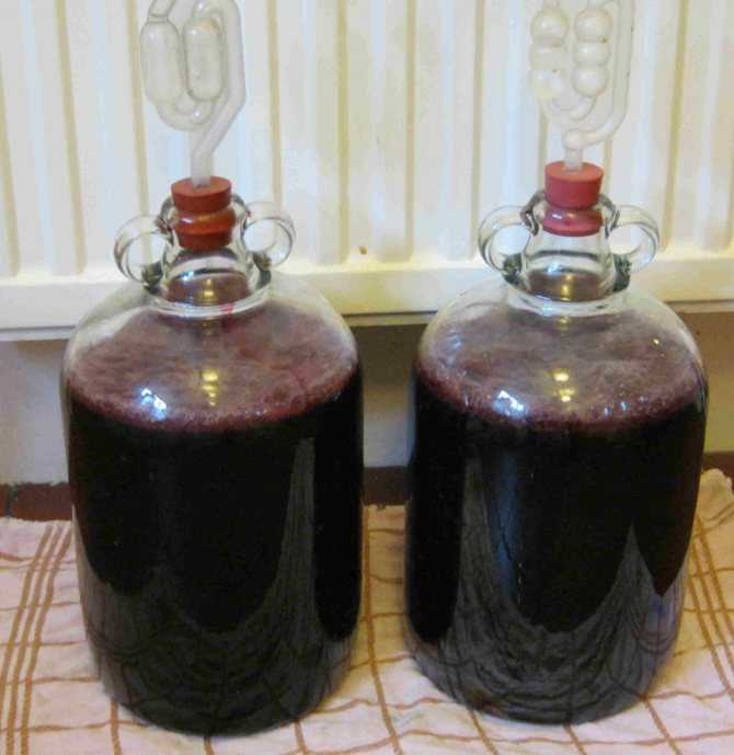 Рецепт вина из черноплодной рябины в домашних условиях с листьями вишни, яблоками и на спирту