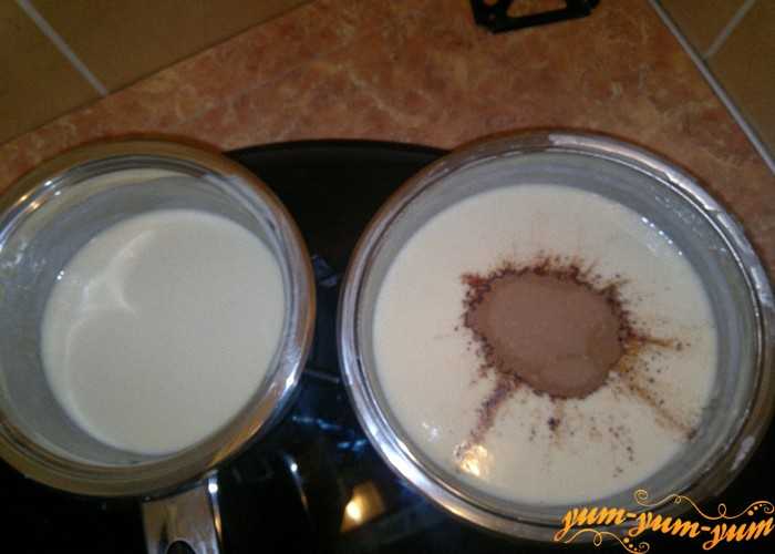 Домашнее шоколадно-молочное желе - пошаговый рецепт с фото