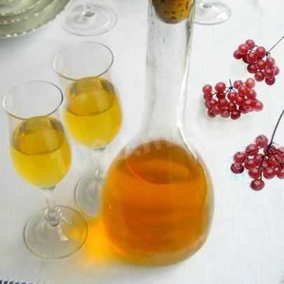 Вино, наливка и ликер из калины: 4 рецепта в домашних условиях