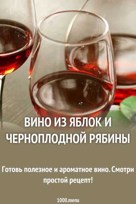 Вино из красной рябины: 2 рецепта в домашних условиях